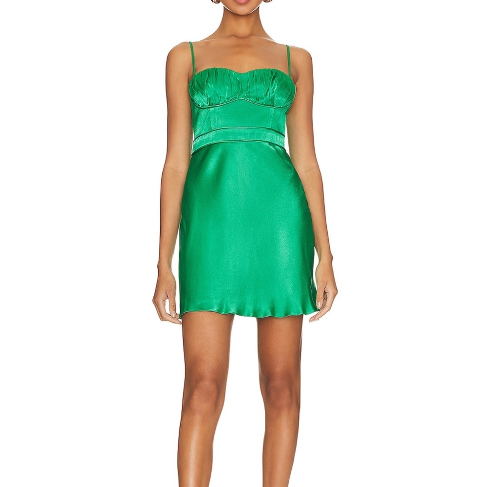 Shona Joy Mini Dress